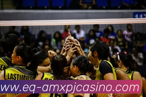 澳门新葡京娱乐品牌故事