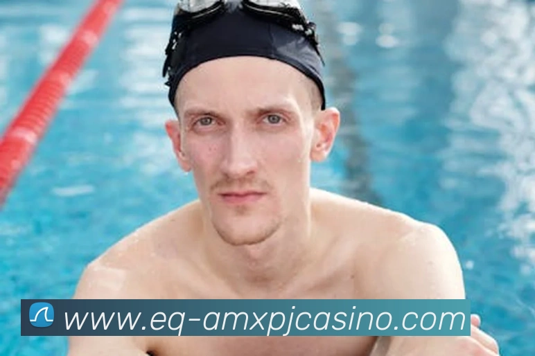 澳门新葡京娱乐服务体系